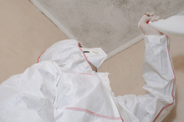 Best Home Mold Removal  in Garden City, NY